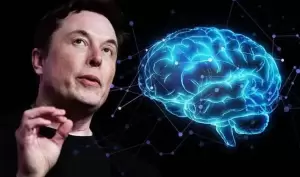 Amerika Serikat Izinkan Otak Buatan Elon Musk Dipasang ke Manusia