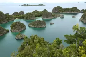 Dijuluki Negeri Seribu Pulau, Indonesia Kaya Akan Sumber Daya Alam Apa?