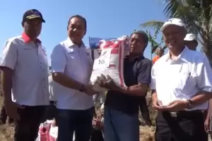Bacaleg Partai Perindo Salurkan Pupuk Gratis Bantu Petani di Semarang