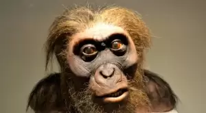 Kemampuan Bicara Manusia Purba Neanderthal Mirip Orang Modern