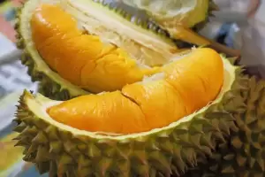 Harimau Ternyata Gemar Makan Durian, Ini Buktinya