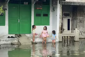 Penampakan Permukiman di Tegal Alur Jakbar yang Masih Terendam Banjir