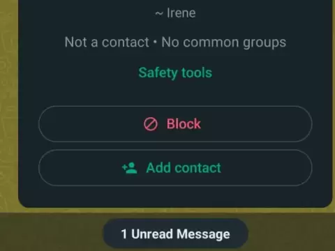 Hoaks! Tombol “Block” di WhatsApp bisa Kuras Isi Rekening